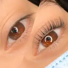 cils